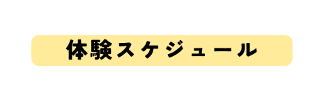 体験スケジュール