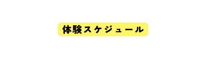 体験スケジュール