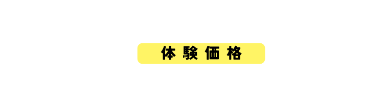 体 験 価 格